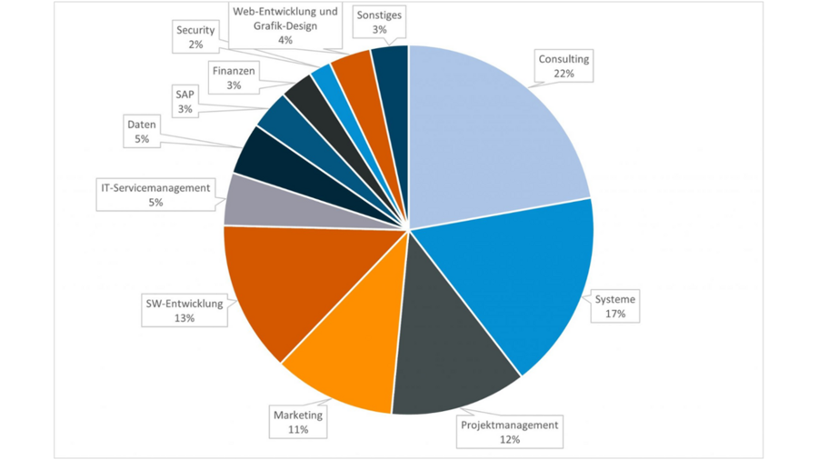 Das Bild zeigt das Potenzial öffentlicher Ausschreibungen nach Bereichen aufgeteilt. Consulting, IT-Systeme, Projektmanagement, Marketing und IT Ausschreibungen sind ganz vorne mit dabei.